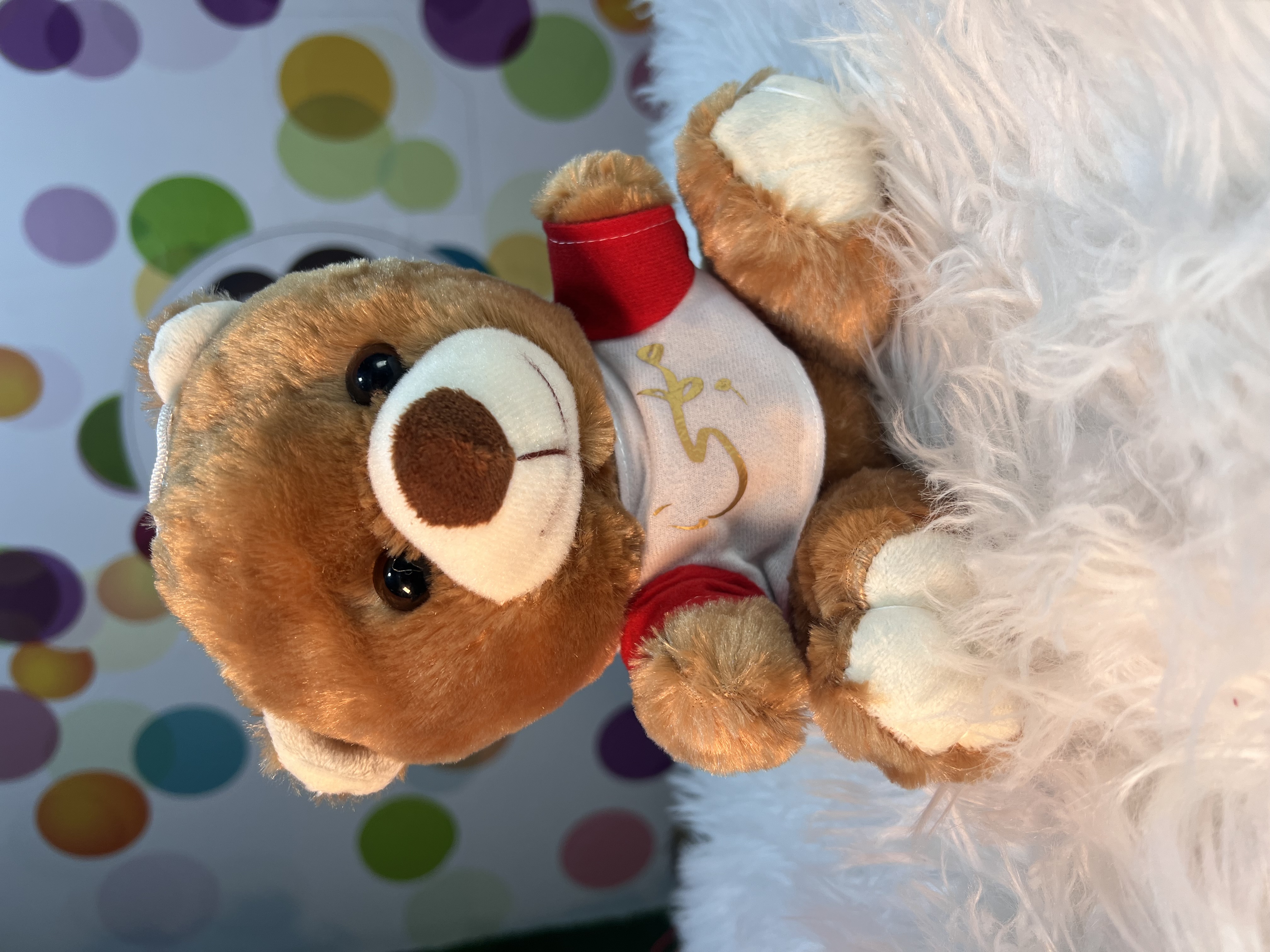 Peluche personnalisé